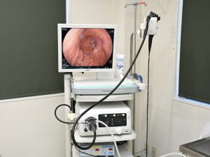 胃カメラによる精密検査